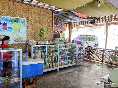 【菲律賓|巴拉望】20240212:又是舟車勞頓的一天,移動 IMG_2971