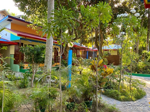 【菲律賓|巴拉望】20240212:又是舟車勞頓的一天,移動 IMG_2910