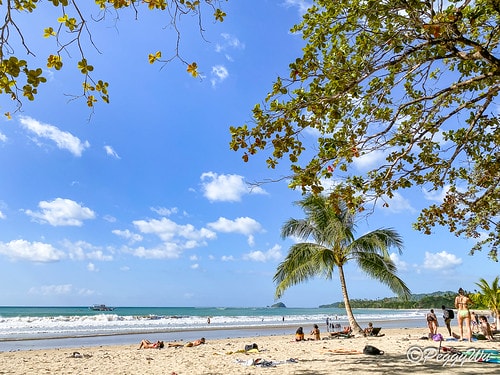 【菲律賓|巴拉望】20240211:愛妮島三大沙灘之一 - IMG_2744