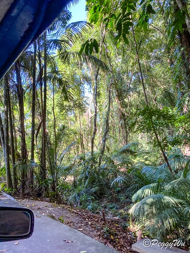 【菲律賓|巴拉望】20240211:愛妮島三大沙灘之一 - IMG_2737