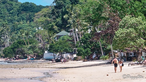 【菲律賓|巴拉望】20240211:愛妮島溜索-Palawa DSC02598