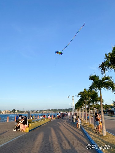 【菲律賓|巴拉望】20240212:市區散步-公主港大教堂/ IMG_3051