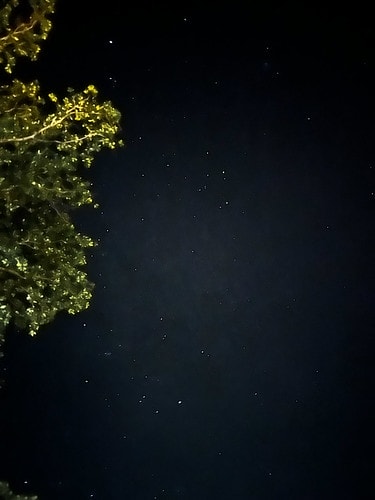 【菲律賓|巴拉望】20240209:晚餐Maa's Gril IMG_7483