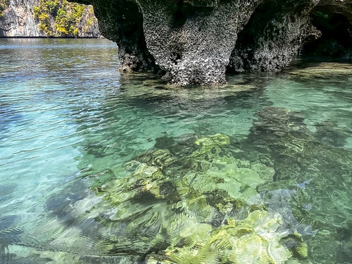 【菲律賓|巴拉望】20240209:遇見絕美海景-愛妮島跳島 IMG_7218
