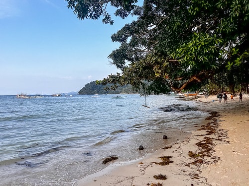 【菲律賓|巴拉望】20240209:晚餐Maa's Gril IMG_7412