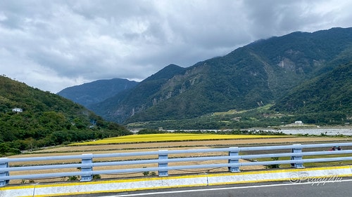 【台東|南橫公路】20231125重機小旅行:南橫公路兩天一 IMG_9327