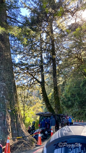 【台東|南橫公路】20231125重機小旅行:南橫公路兩天一 IMG_9276