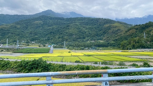 【台東|南橫公路】20231125重機小旅行:南橫公路兩天一 IMG_9332