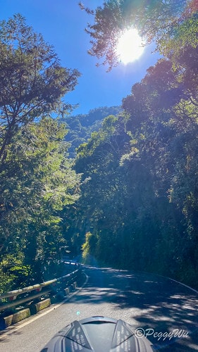 【台東|南橫公路】20231125重機小旅行:南橫公路兩天一 IMG_9254