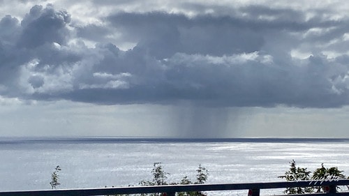 【台東|南橫公路】20231125重機小旅行:南橫公路兩天一 IMG_9365