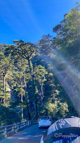 【台東|南橫公路】20231125重機小旅行:南橫公路兩天一 IMG_9287