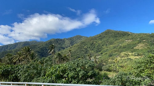 【台東|南橫公路】20231125重機小旅行:南橫公路兩天一 IMG_9363