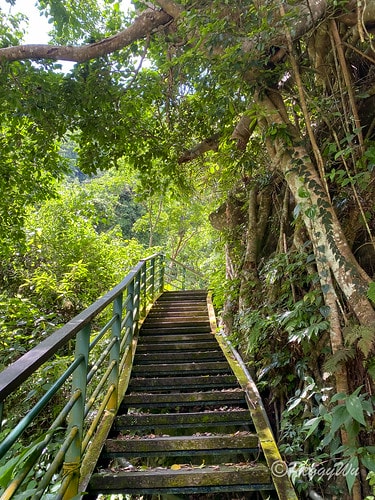 【台東|知本】20240518 順遊白玉瀑布、桑樹溪午餐外加 IMG_5606