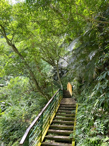 【台東|知本】20240518 順遊白玉瀑布、桑樹溪午餐外加 IMG_5607