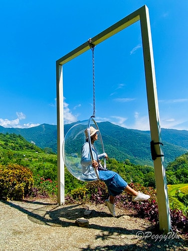 【台東|知本】20240518 台東知本天山農場:5月的金針 IMG_5578