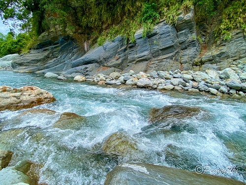 【台東|知本】20240518 順遊白玉瀑布、桑樹溪午餐外加 IMG_5639