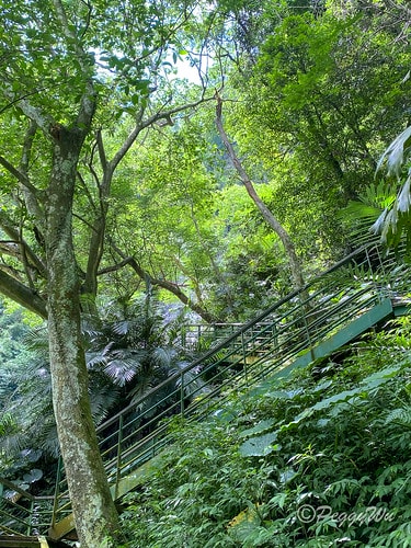 【台東|知本】20240518 順遊白玉瀑布、桑樹溪午餐外加 IMG_5609