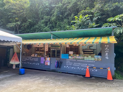 【台東|知本】20240518 台東知本天山農場:5月的金針 IMG_5551