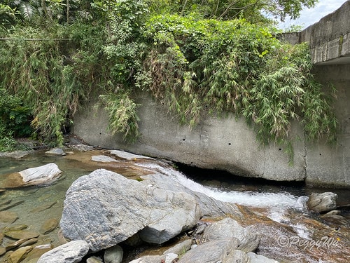 【台東|知本】20240518 順遊白玉瀑布、桑樹溪午餐外加 IMG_5628