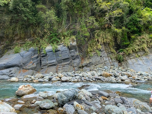 【台東|知本】20240518 順遊白玉瀑布、桑樹溪午餐外加 IMG_5630