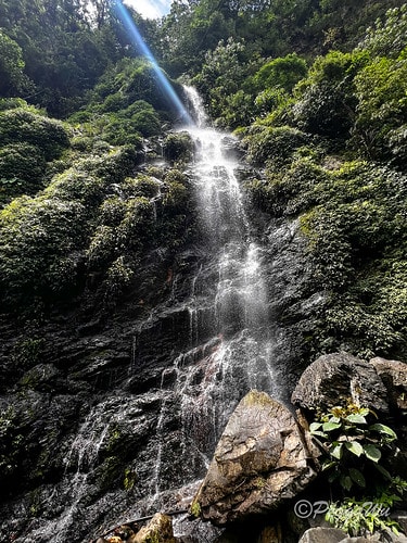 【台東|知本】20240518 順遊白玉瀑布、桑樹溪午餐外加 IMG_8598