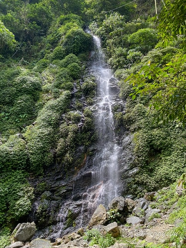 【台東|知本】20240518 順遊白玉瀑布、桑樹溪午餐外加 IMG_5610