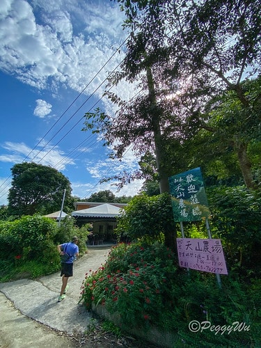 【台東|知本】20240518 台東知本天山農場:5月的金針 IMG_5550