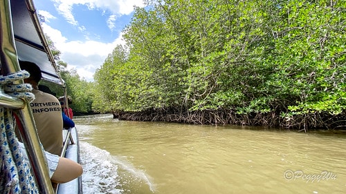 【馬來西亞|蘭卡威】20231230 跨年旅行:探索蘭卡威基 IMG_0240
