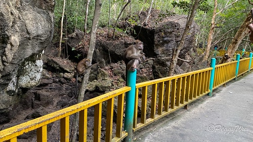 【馬來西亞|蘭卡威】20231230 跨年旅行:探索蘭卡威基 IMG_0175