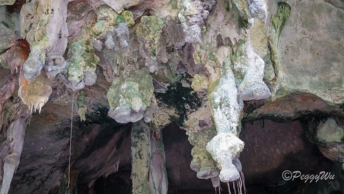 【馬來西亞|蘭卡威】20231230 跨年旅行:探索蘭卡威基 DSC02179