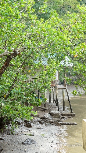 【馬來西亞|蘭卡威】20231230 跨年旅行:探索蘭卡威基 DSC02175