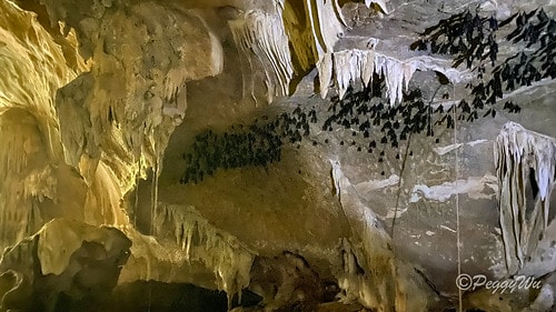 【馬來西亞|蘭卡威】20231230 跨年旅行:探索蘭卡威基 IMG_0169