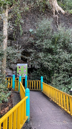 【馬來西亞|蘭卡威】20231230 跨年旅行:探索蘭卡威基 IMG_0159