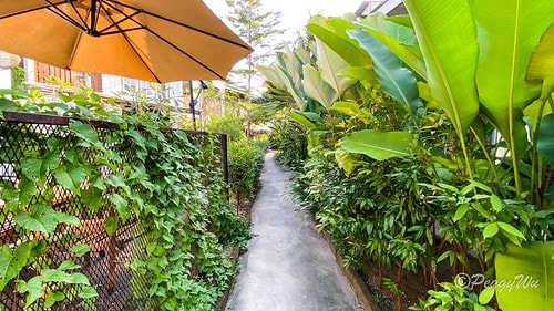 【馬來西亞|蘭卡威】20231230 跨年旅行:早午餐推薦 IMG_0107