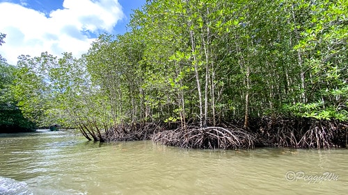 【馬來西亞|蘭卡威】20231230 跨年旅行:探索蘭卡威基 IMG_0239