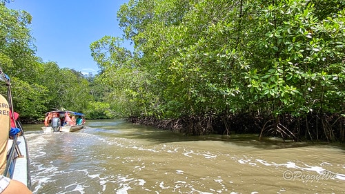 【馬來西亞|蘭卡威】20231230 跨年旅行:探索蘭卡威基 IMG_0224