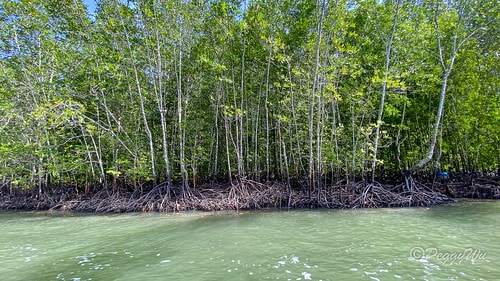 【馬來西亞|蘭卡威】20231230 跨年旅行:探索蘭卡威基 IMG_0199