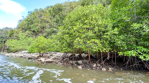 【馬來西亞|蘭卡威】20231230 跨年旅行:探索蘭卡威基 IMG_0232