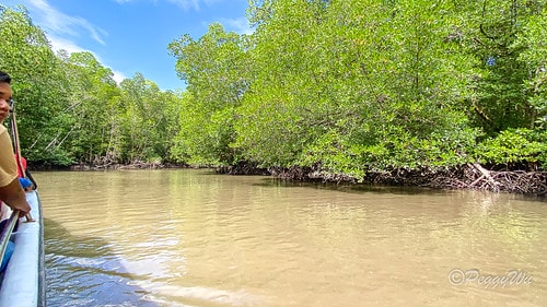 【馬來西亞|蘭卡威】20231230 跨年旅行:探索蘭卡威基 IMG_0221