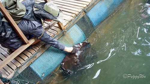 【馬來西亞|蘭卡威】20231230 跨年旅行:探索蘭卡威基 DSC02217