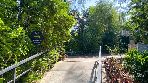 【馬來西亞|蘭卡威】20231231 跨年旅行:探索蘭卡威的 IMG_0686