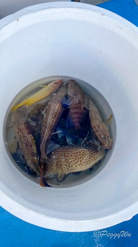 【馬來西亞|蘭卡威】20240102 跨年旅行:蘭卡威三島跳 IMG_1250