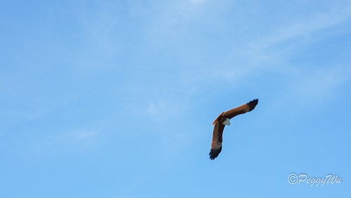 【馬來西亞|蘭卡威】20240102 跨年旅行:蘭卡威三島跳 DSC02375