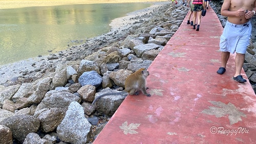 【馬來西亞|蘭卡威】20240102 跨年旅行:蘭卡威三島跳 IMG_1209