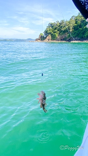 【馬來西亞|蘭卡威】20240102 跨年旅行:蘭卡威三島跳 IMG_1243