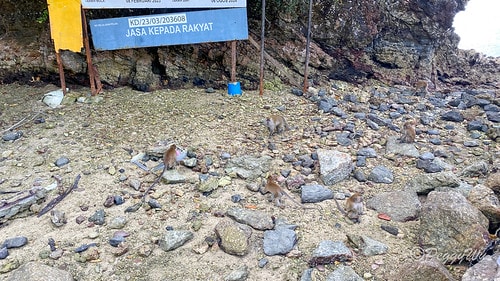 【馬來西亞|蘭卡威】20240102 跨年旅行:蘭卡威三島跳 IMG_1211