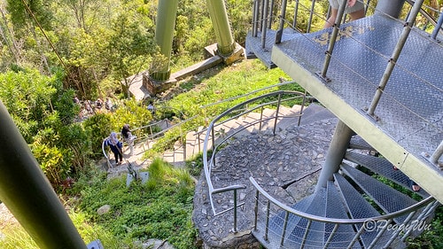 【馬來西亞|蘭卡威】20240103 跨年旅行:探索蘭卡威不 IMG_1523