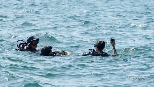 【馬來西亞|蘭卡威】20240101 跨年旅行:驚險一刻~一 DSC02345