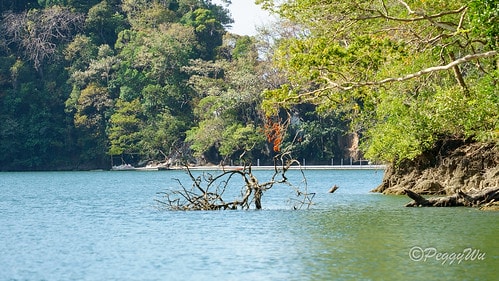 【馬來西亞|蘭卡威】20240102 跨年旅行:蘭卡威三島跳 DSC02357