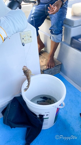 【馬來西亞|蘭卡威】20240102 跨年旅行:蘭卡威三島跳 IMG_1249